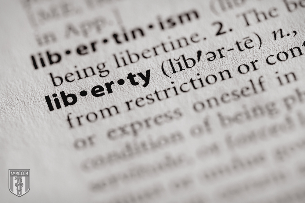 Freedom vs. Liberty: A Guide to Defining Independence and Why it Matters